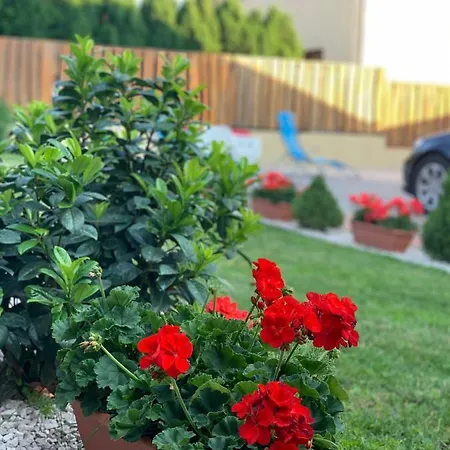 House4u Balatonszemes